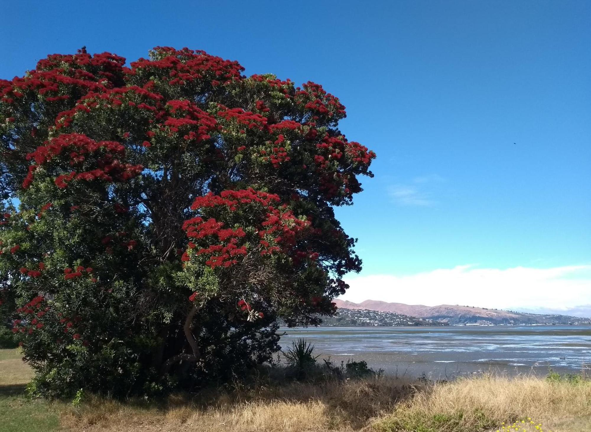 South Brighton Holiday Park Christchurch Buitenkant foto